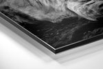 Lion Brushed Aluminium Dibond Wall Art.
