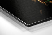 Game of Fate Brushed Aluminium Dibond Wall Art.