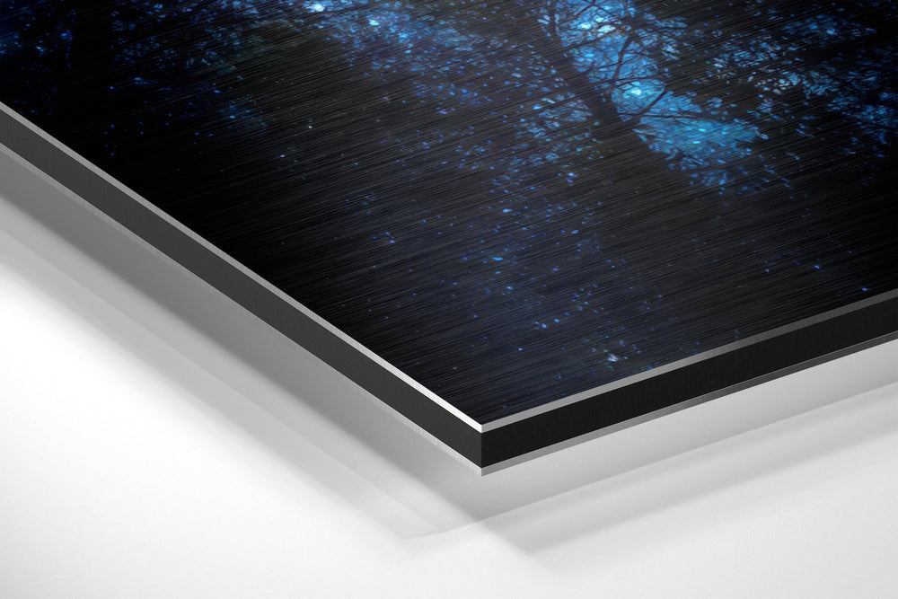Never Stop Looking Up Brushed Aluminium Dibond Wall Art.