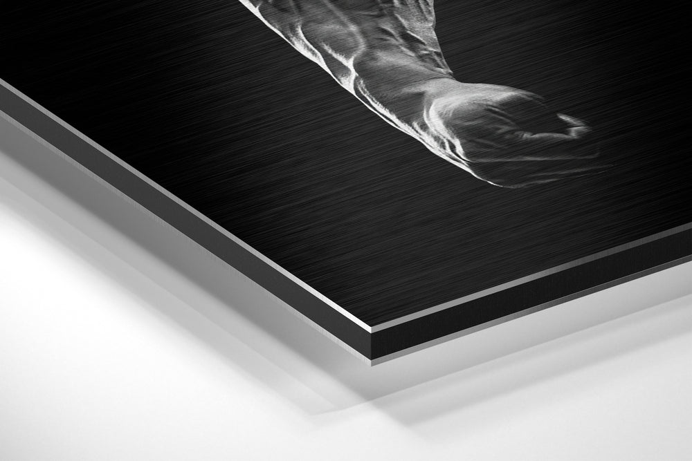 No More Excuses Brushed Aluminium Dibond Wall Art.