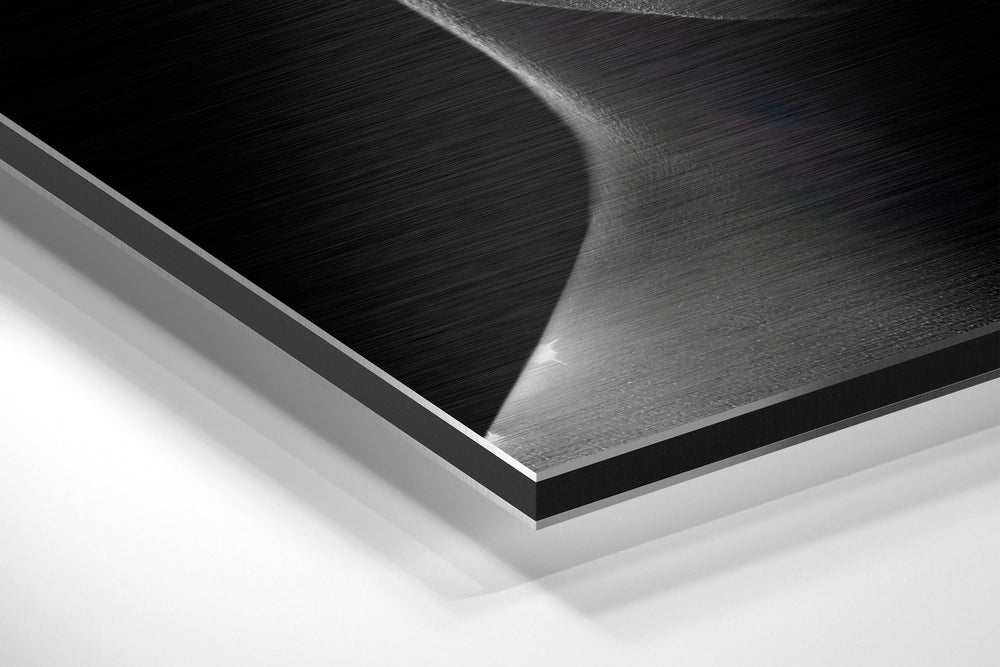 Beauty Brushed Aluminium Dibond Wall Art.