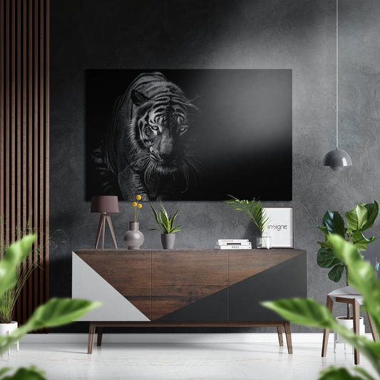 Eye of the Tiger Brushed Aluminium Dibond Wall Art.