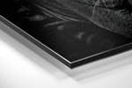 Eye of the Tiger Brushed Aluminium Dibond Wall Art.