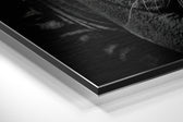 Eye of the Tiger Brushed Aluminium Dibond Wall Art.