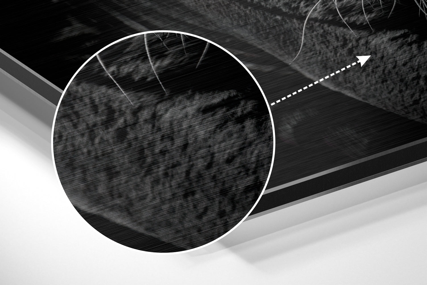 Eye of the Tiger Brushed Aluminium Dibond Wall Art.