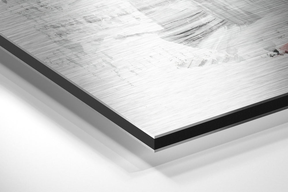 Flamingo Brushed Aluminium Dibond Wall Art.