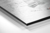 Flamingo Brushed Aluminium Dibond Wall Art.