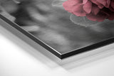 Brushed Aluminium Dibond Wall Art