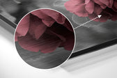 Roses Brushed Aluminium Dibond Wall Art.