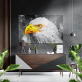 Eagle Brushed Aluminium Dibond Wall Art.