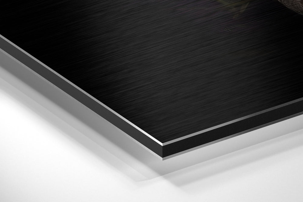 Black Swan Brushed Aluminium Dibond Wall Art.