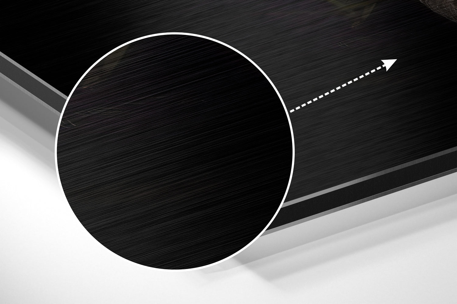 Black Swan Brushed Aluminium Dibond Wall Art.