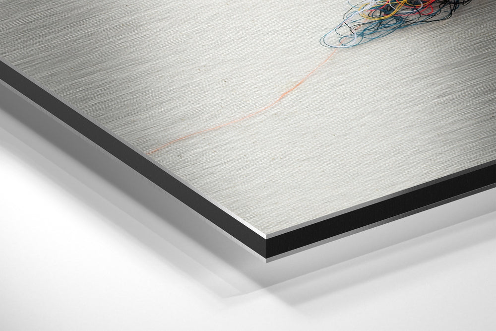 Sparrow Brushed Aluminium Dibond Wall Art.