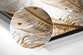 Feathers Brushed Aluminium Dibond Wall Art.