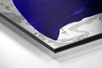 Feathers Brushed Aluminium Dibond Wall Art.