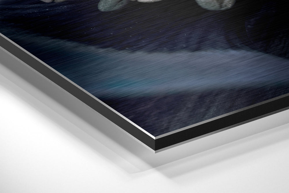Micro Beauty Brushed Aluminium Dibond Wall Art.