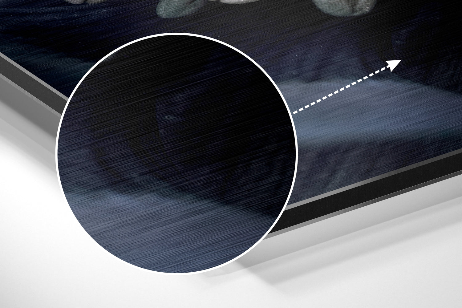 Micro Beauty Brushed Aluminium Dibond Wall Art.