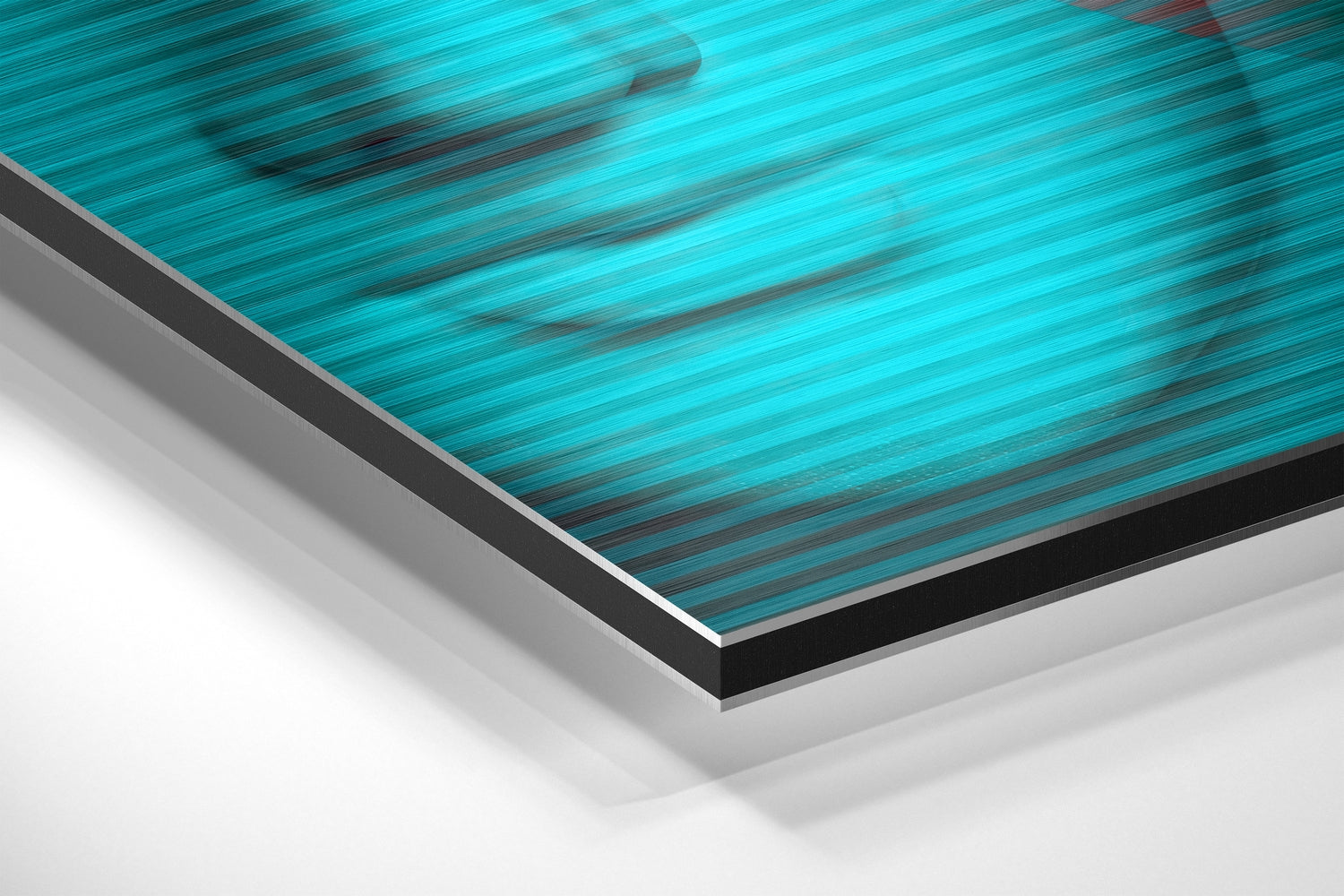 Statues Brushed Aluminium Dibond Wall Art.