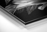 Brushed Aluminium Dibond Wall Art