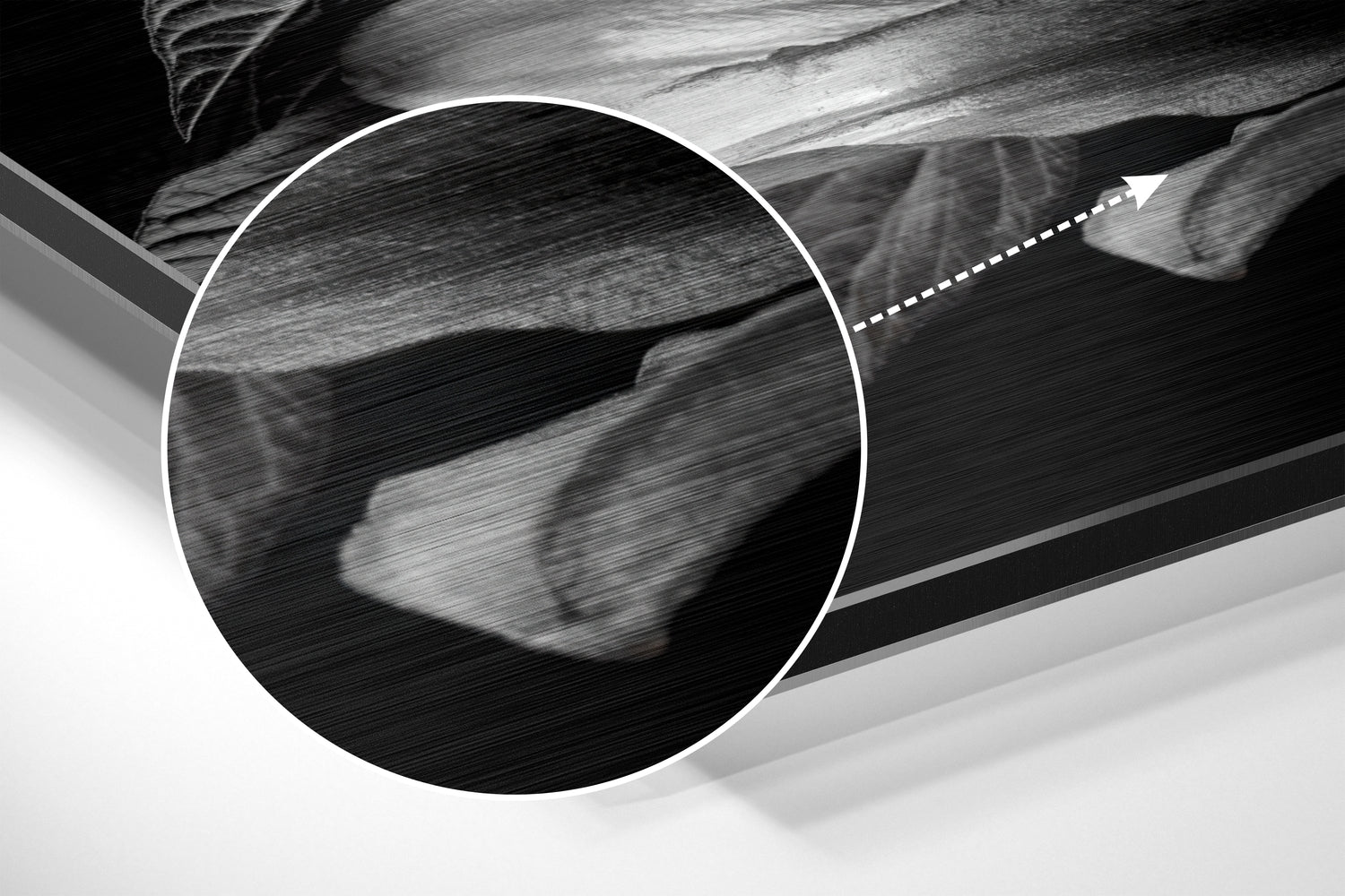 Lillium Brushed Aluminium Dibond Wall Art.