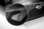Lillium Brushed Aluminium Dibond Wall Art.