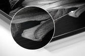 Lillium Brushed Aluminium Dibond Wall Art.