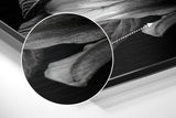 Brushed Aluminium Dibond Wall Art