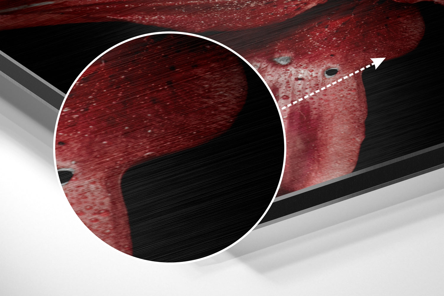 Red Lillium Brushed Aluminium Dibond Wall Art.