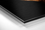 Rhinoceros Brushed Aluminium Dibond Wall Art.