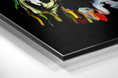 Colorful Feelings Brushed Aluminium Dibond Wall Art.