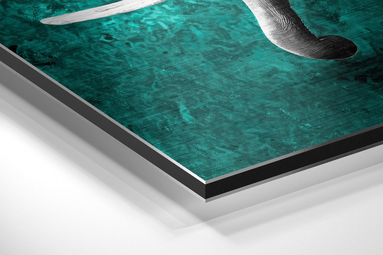 Elephant Brushed Aluminium Dibond Wall Art.