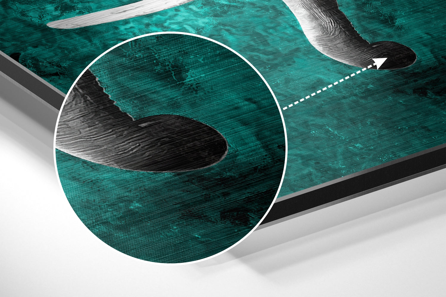 Elephant Brushed Aluminium Dibond Wall Art.