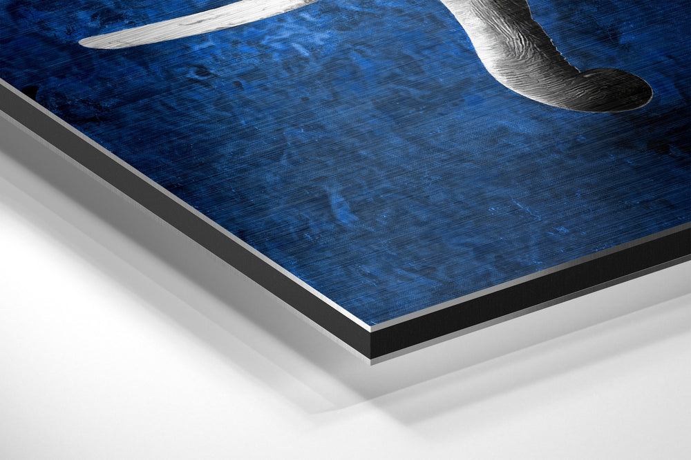Elephant Brushed Aluminium Dibond Wall Art.