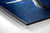 Elephant Brushed Aluminium Dibond Wall Art.