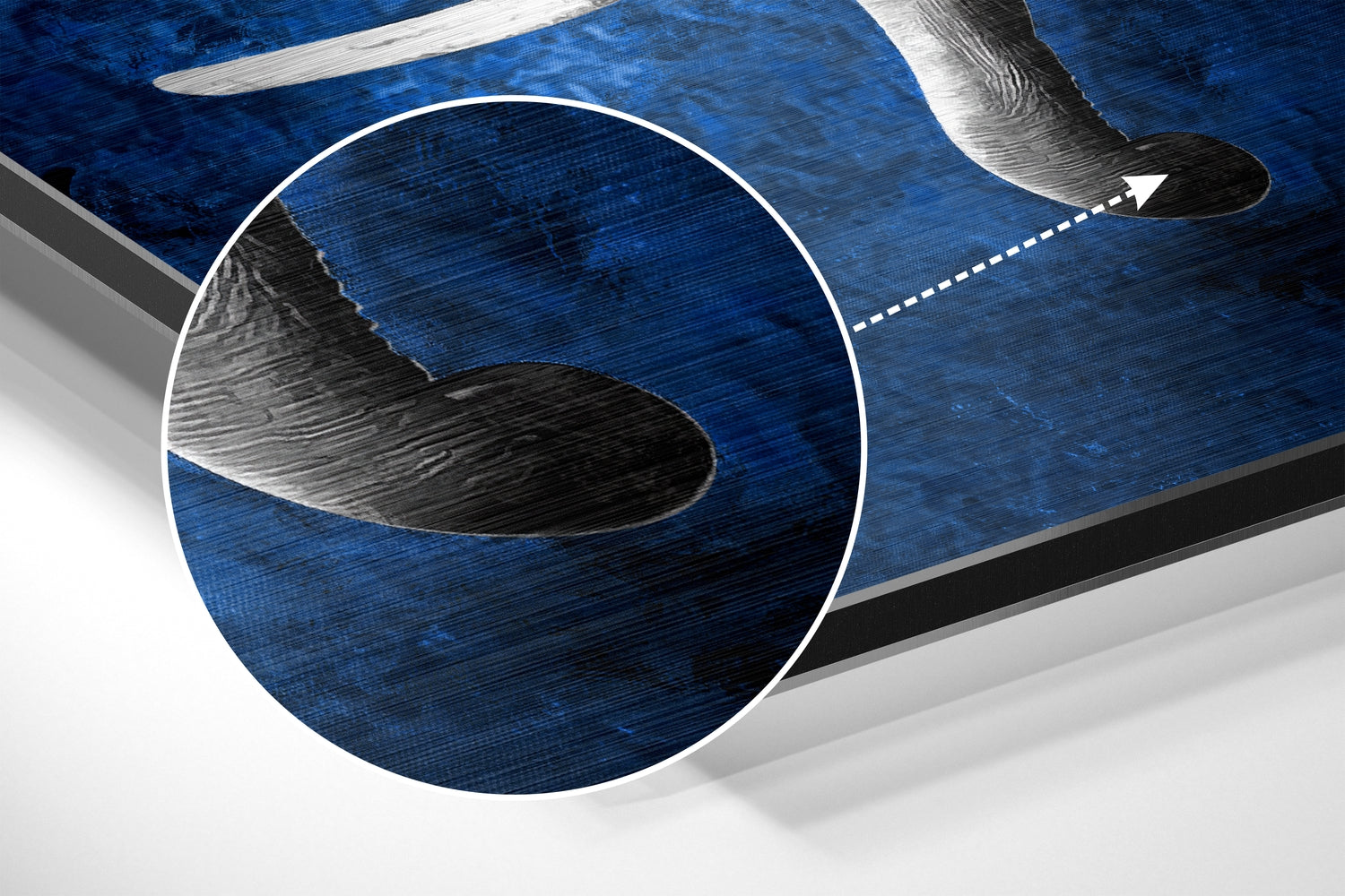 Elephant Brushed Aluminium Dibond Wall Art.