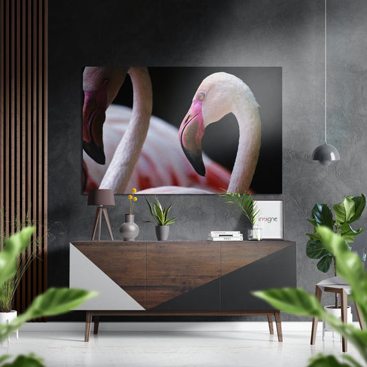 Flamingos Brushed Aluminium Dibond Wall Art.