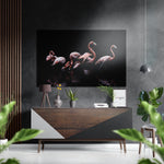 Flamingos Brushed Aluminium Dibond Wall Art.