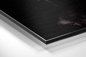 Flamingos Brushed Aluminium Dibond Wall Art.