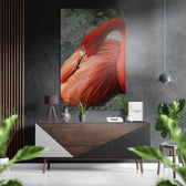 Flamingo Brushed Aluminium Dibond Wall Art.