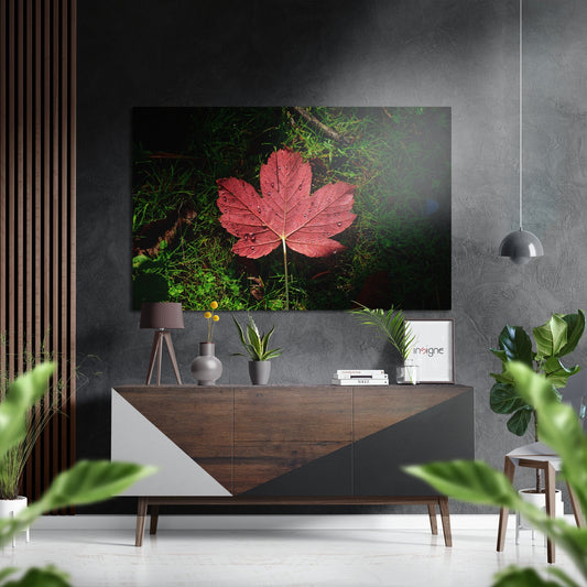 Autumn Leaf Brushed Aluminium Dibond Wall Art.