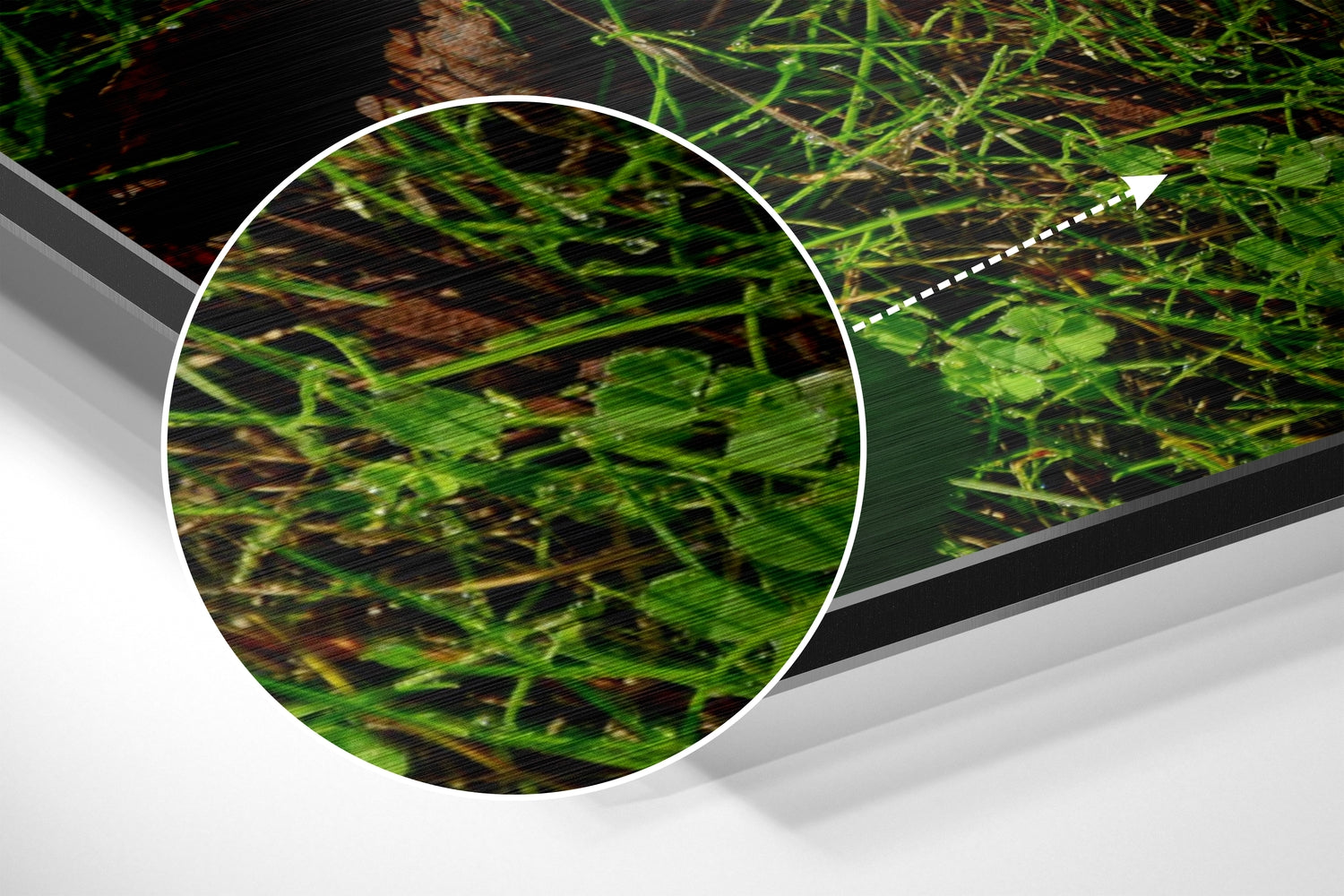 Autumn Leaf Brushed Aluminium Dibond Wall Art.