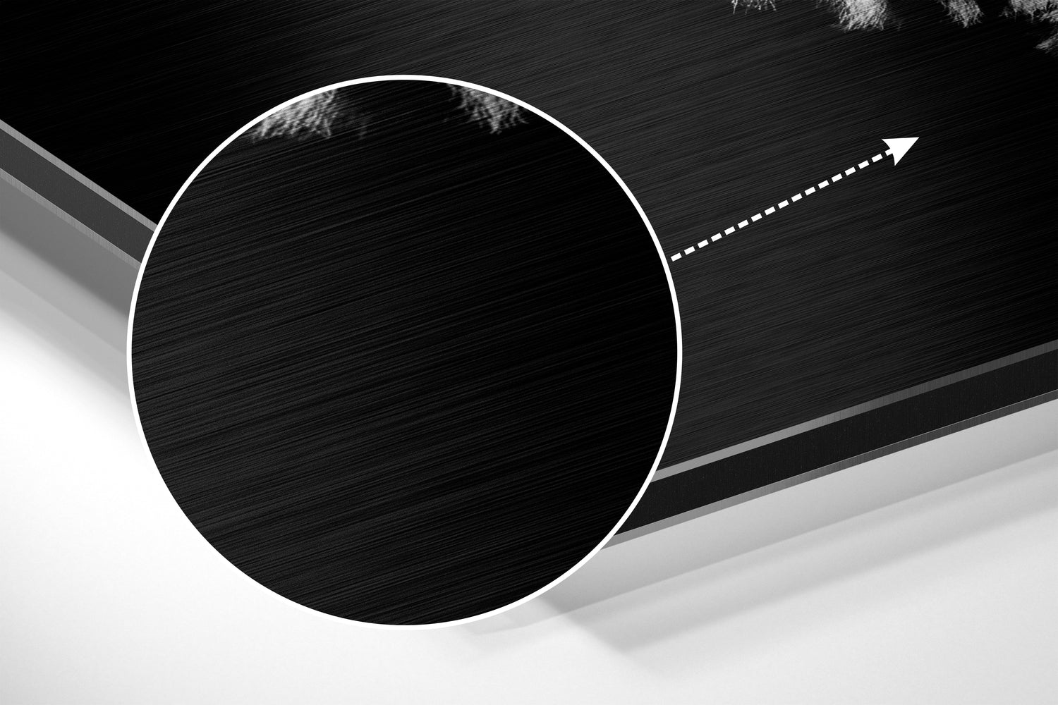 Zebra Brushed Aluminium Dibond Wall Art.