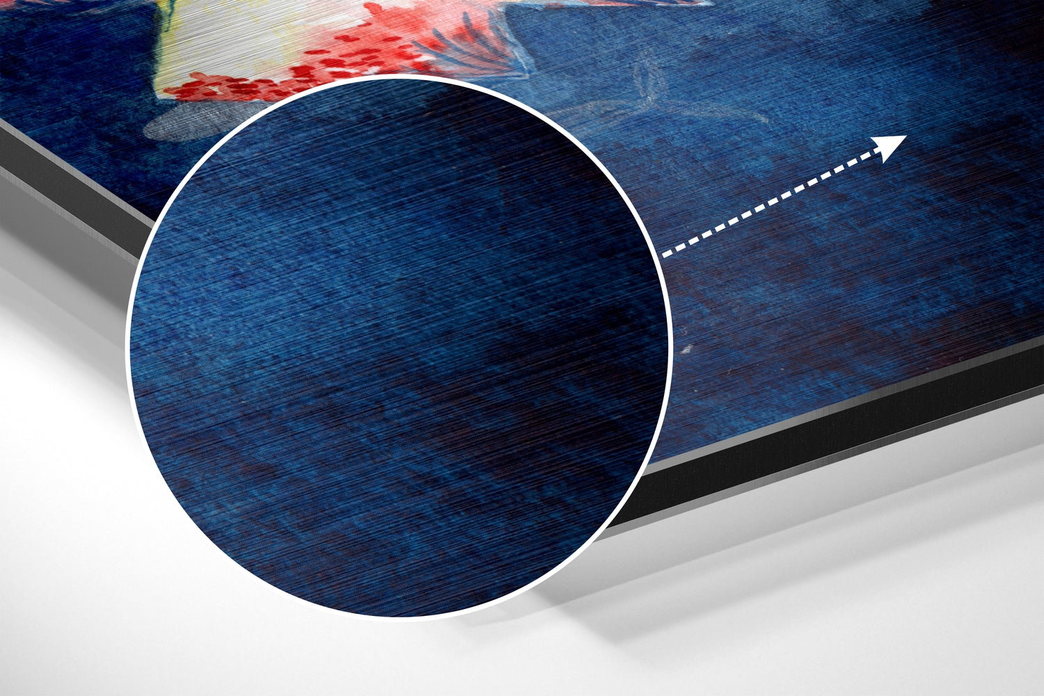 Fish Brushed Aluminium Dibond Wall Art.