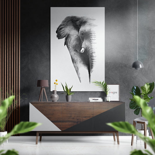 Elephant Brushed Aluminium Dibond Wall Art.