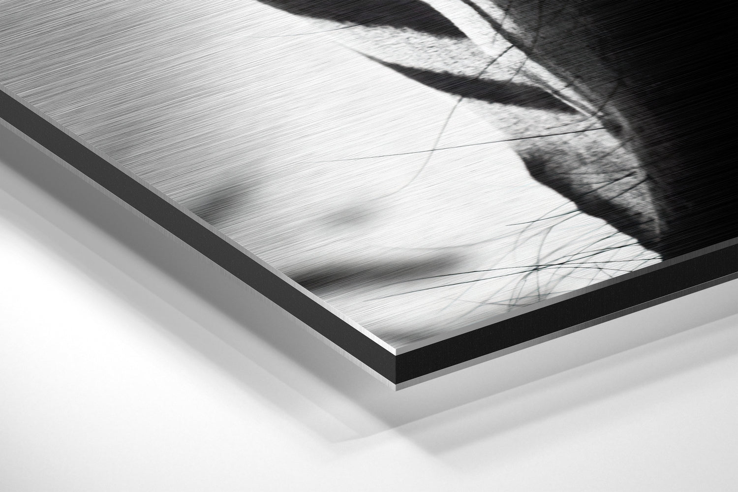 Zebra Brushed Aluminium Dibond Wall Art.