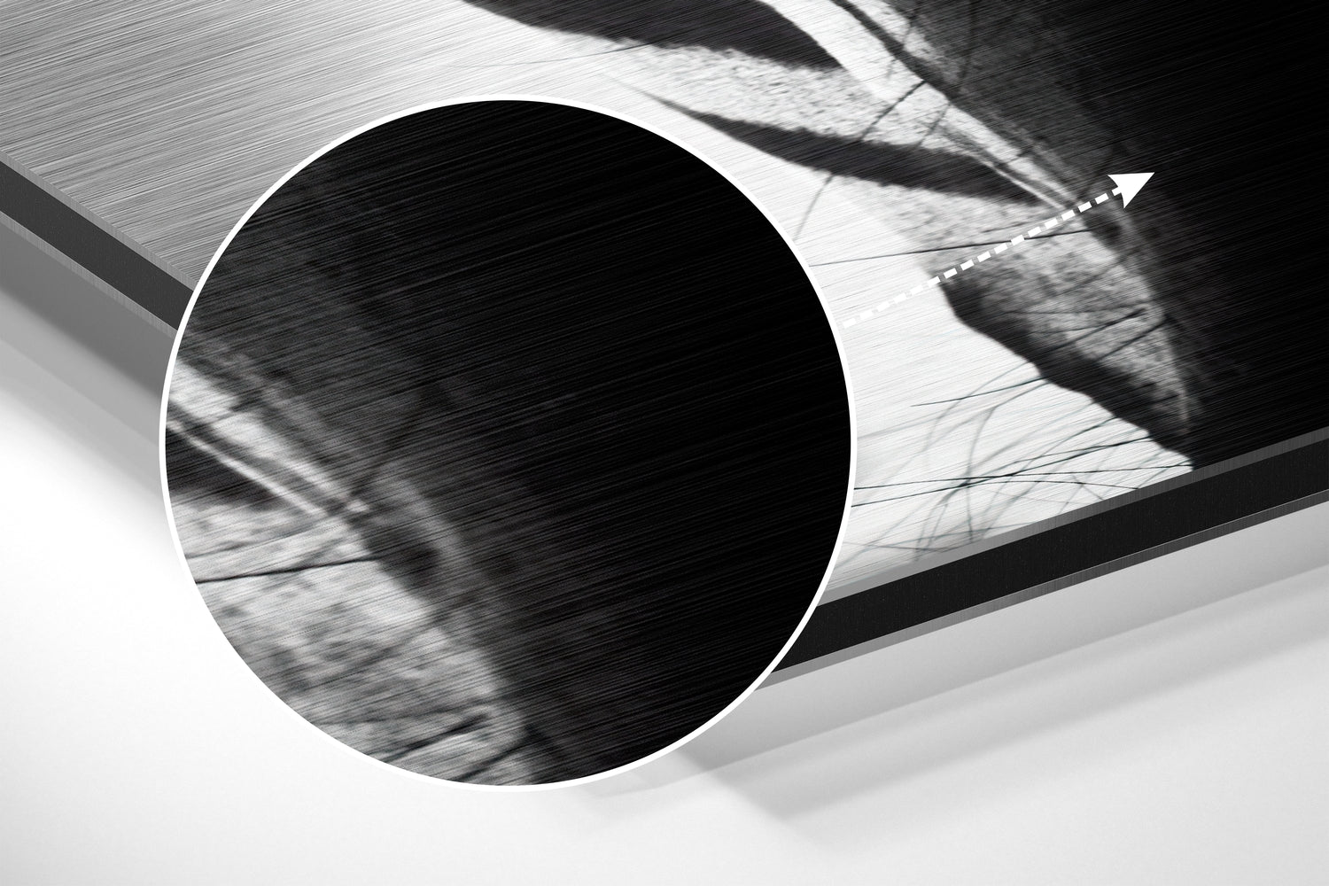 Zebra Brushed Aluminium Dibond Wall Art.