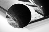 Zebra Brushed Aluminium Dibond Wall Art.