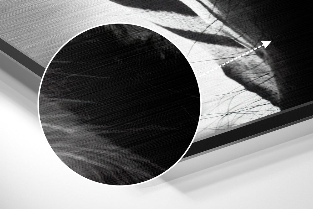 Buffalo Brushed Aluminium Dibond Wall Art.