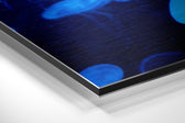 Jellyfish Brushed Aluminium Dibond Wall Art.