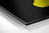 Woman in Pieces Brushed Aluminium Dibond Wall Art.